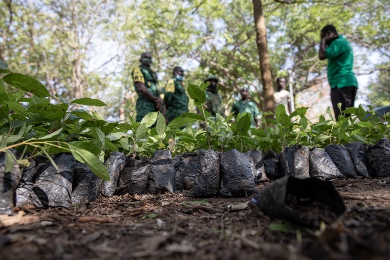 Ghana Green Day - planting trees.